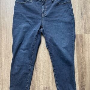 Madewell Blue Curvy Roadtripper Skinny